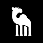camelQA