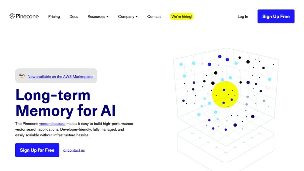 Pinecone - Fast and Scalable Vector Database for AI