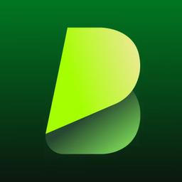 BlipCut AI Video Translator