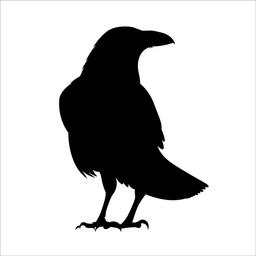 Crow
