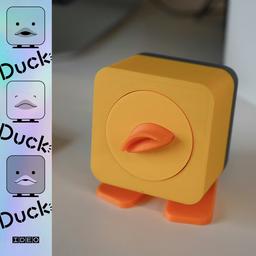 Duck, Duck, Duck! by IDEO