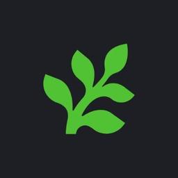 Fern