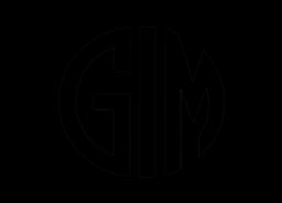 Global Issue Memory MCP