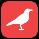 Magpie - YouTube Summarizer