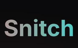 MCP Snitch