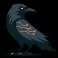 QA Crow