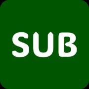 AI Video Subtitler
