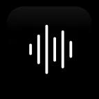VoiceX