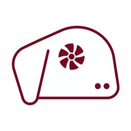 WoolyAI Acceleration Service