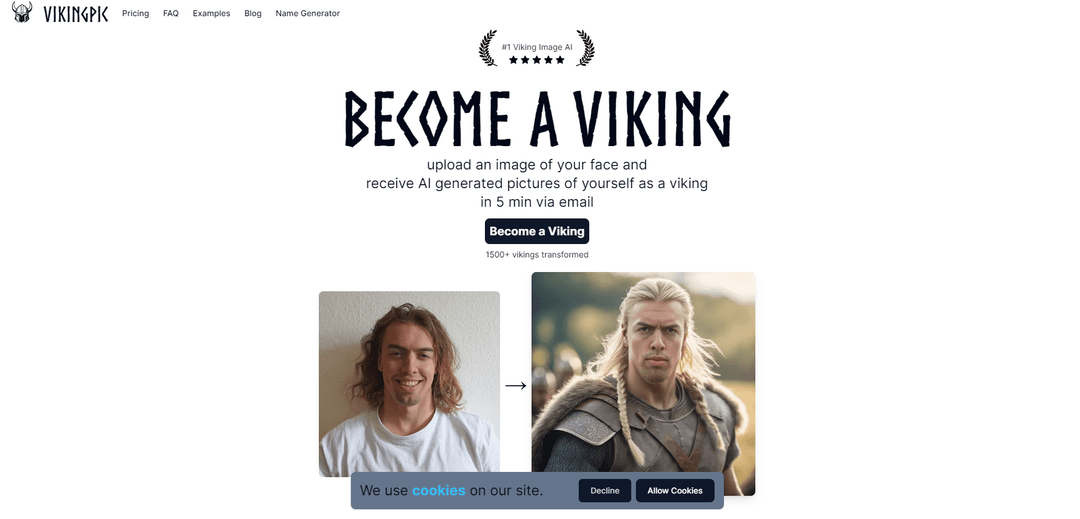 VikingPic