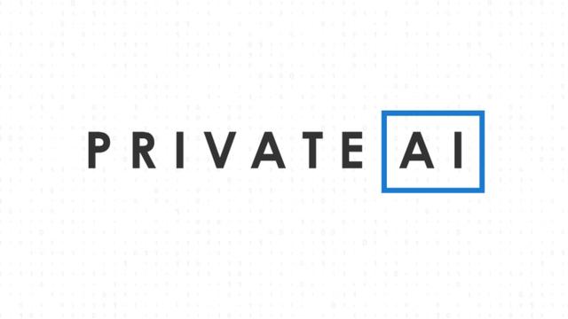 Comment utiliser Private AI : Un guide complet