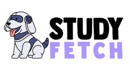 Как использовать STUDY FETCH: Руководство по обучению с помощью ИИ