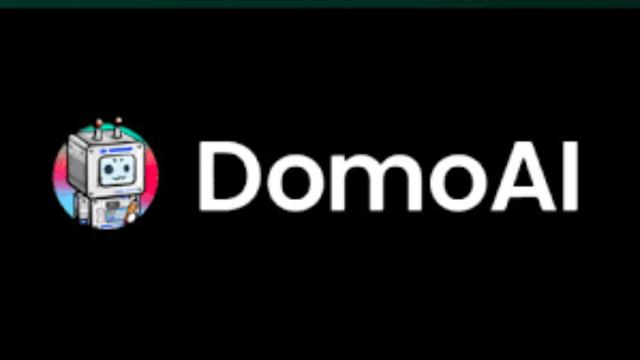 Domo.AI 리뷰: 안전한 기업용 AI 프레임워크 | 2024 가이드