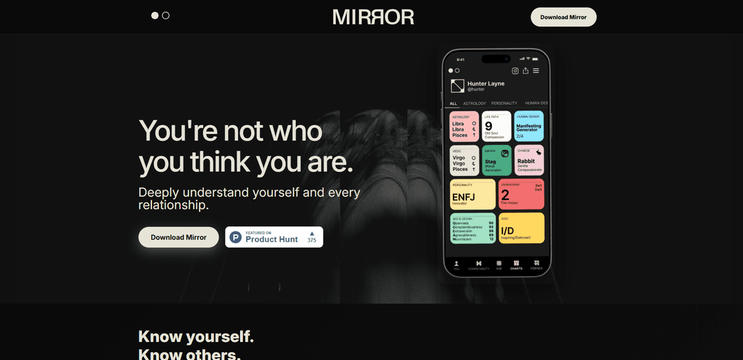 Mirror