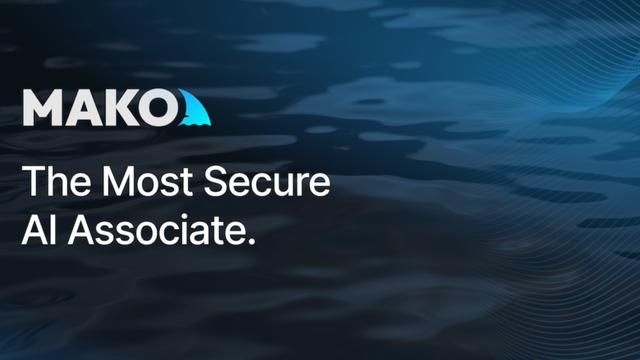Как использовать Mako AI: Руководство для инвестиционных профессионалов