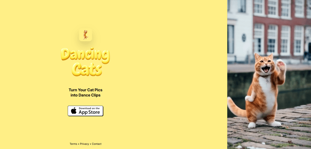 DANCING CATS App