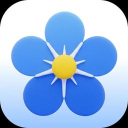 Chime - Remember Everything