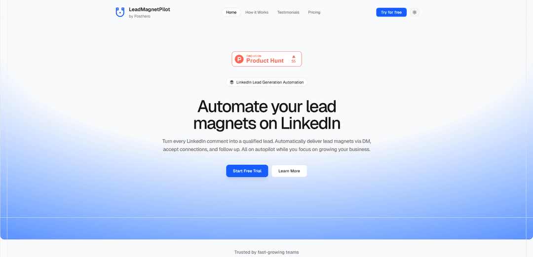 Lead Magnet Pilot