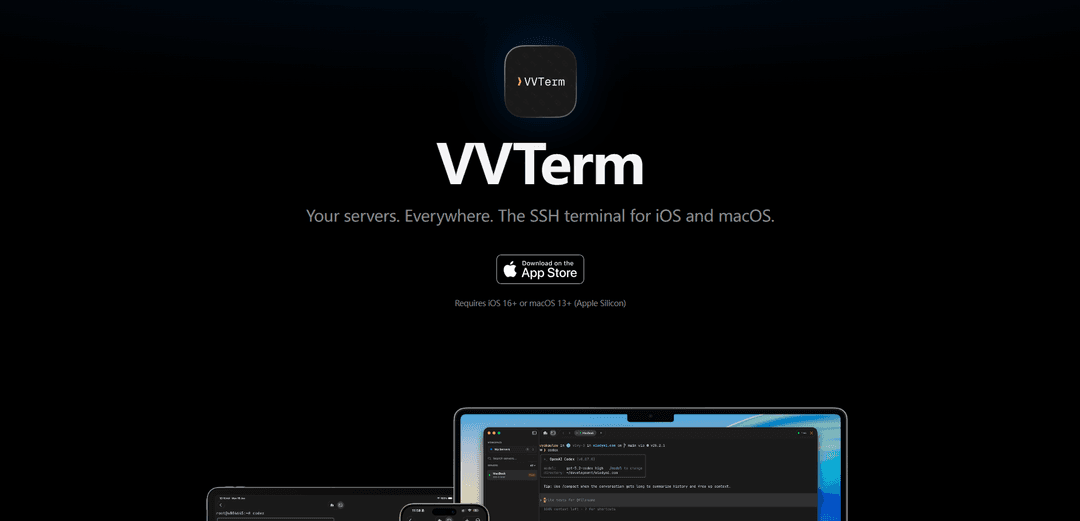 VVTerm